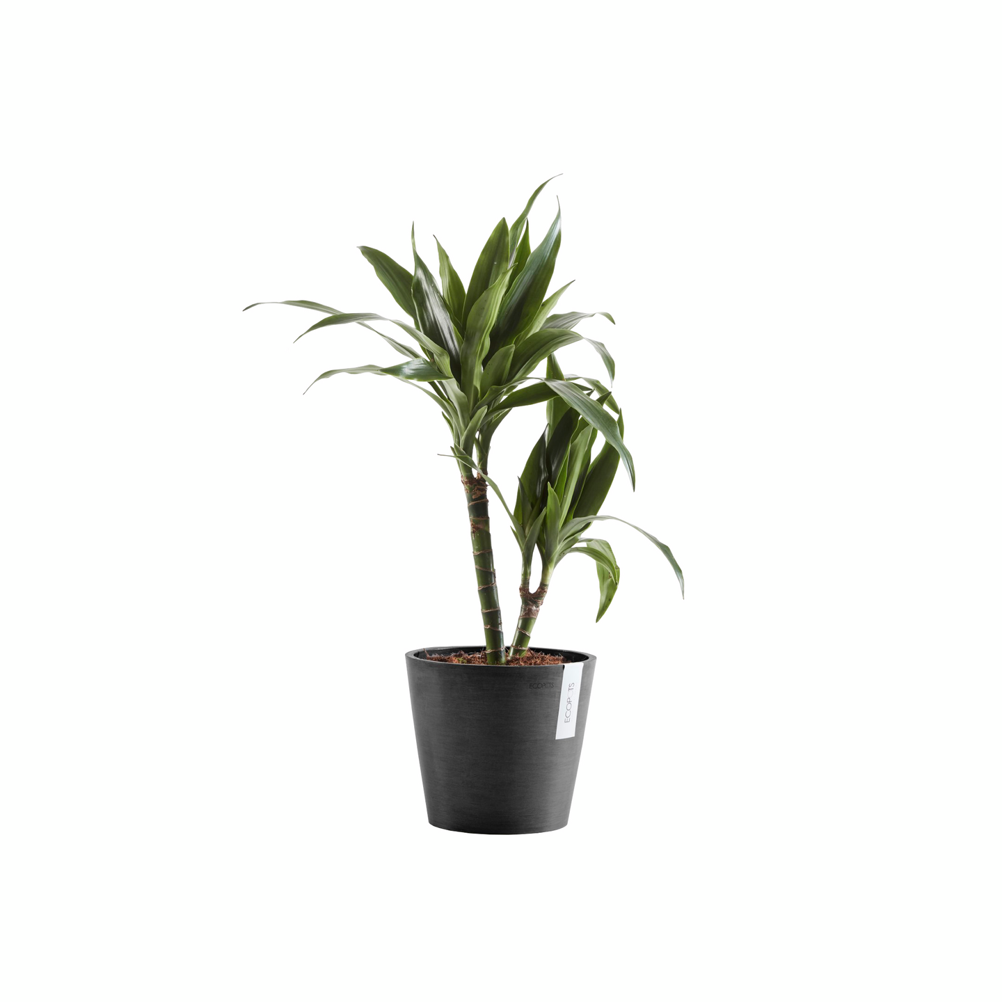 Ruukku Ecopots Amsterdam 25cm tummanharmaa